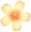 07.png 07.png